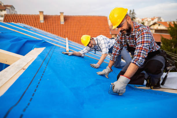 Best Metal Roofing Contractor  in Spring Valley, WI